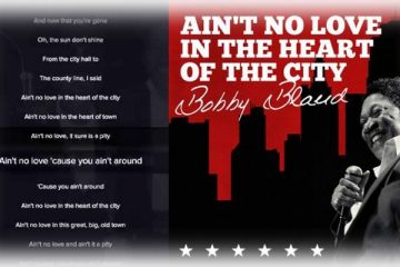 bobby-bland-ain-t-no-love-in-the-heart-of-the-city-perevod